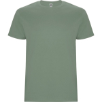 T-shirt manches courtes en coton 190 g/m² Roly Direct Stafford couleur noir première vue d'usage