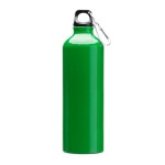 Bouteille en aluminium de grande taille avec mousqueton 800ml couleur vert première vue d'usage