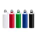 Bouteille en aluminium de grande taille avec mousqueton 800ml couleur vert vue détaillée 1