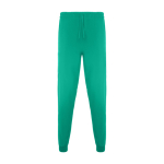 Pantalon sanitaire unisexe à coupe droite 170 g/m² Roly Fiber couleur vert émeraude deuxième vue