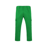 Pantalon de travail en polyester et coton 240 g/m² Roly Daily couleur vert gazon deuxième vue