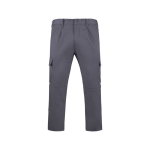 Pantalon de travail en polyester et coton 240 g/m² Roly Daily couleur gris taupe deuxième vue