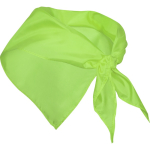 Foulard triangulaire classique en polyester dans des couleurs vives couleur vert deuxième vue