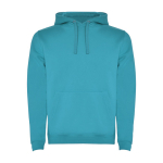 Sweat-shirt en coton et polyester 280 g/m² Roly Direct Urban couleur turquoise deuxième vue