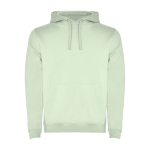Sweat-shirt en coton et polyester 280 g/m² Roly Direct Urban couleur vert doux deuxième vue