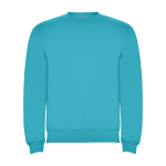 Pull en coton et polyester 280 g/m² Roly Direct Clasica couleur turquoise deuxième vue