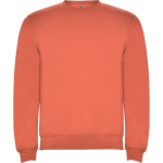 Pull en coton et polyester 280 g/m² Roly Direct Clasica couleur turquoise première vue d'usage