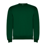 Pull en coton et polyester 280 g/m² Roly Direct Clasica couleur vert bouteille deuxième vue