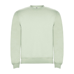 Pull en coton et polyester 280 g/m² Roly Direct Clasica couleur vert doux deuxième vue