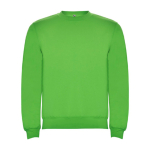 Pull en coton et polyester 280 g/m² Roly Direct Clasica couleur vert clair deuxième vue