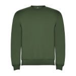 Pull en coton et polyester 280 g/m² Roly Direct Clasica couleur vert foncé deuxième vue