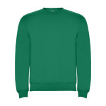 Pull en coton et polyester 280 g/m² Roly Direct Clasica couleur vert émeraude deuxième vue