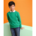 Pull en coton et polyester 280 g/m² Roly Direct Clasica couleur vert émeraude deuxième vue d'usage