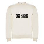 Pull en coton et polyester 280 g/m² Roly Direct Clasica vue principale