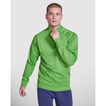 Sweat-shirt avec demi-fermeture éclair 200 g/m² Roly Direct Epiro couleur vert première vue d'usage