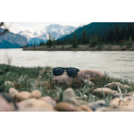 Lunettes de soleil polarisées Swiss Peak avec protection UV400 couleur noir