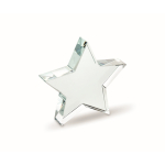 Trophée en verre en forme d'étoile à personnaliser couleur transparent septième vue