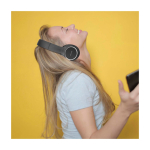 Casque sans fil avec réduction de bruit Prixton Live Pro couleur noir image nature morte