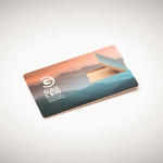 Carte USB impression intégrale fabriquée en paille couleur bois