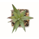 Mini plante artificielle type aloe vera pour bureau couleur blanc troisième vue