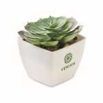 Mini plante artificielle en PP en forme de succulente echeveria couleur blanc vue principale