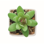 Mini plante artificielle en PP de type succulente décorative couleur blanc troisième vue
