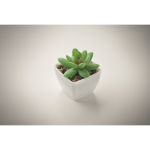 Mini plante artificielle en PP de type succulente décorative couleur blanc quatrième vue photographique