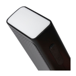 Enceinte portable avec lampe torche COB LED et poignée de transport dixième vue