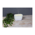 Humidificateur aromatique 4 en 1 avec enceinte 12 W Prixton Connected couleur blanc image nature morte