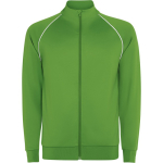 Sweat-shirt de sport unisexe à col montant 210 g/m² Roly Direct Valier couleur vert première vue d'usage