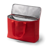 Glacière familiale avec intérieur isotherme et fermeture éclair 25 L couleur rouge vue détaillée 1
