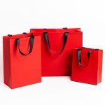 Sac en papier premium et mate avec anses en tissu résistantes 7 kg vue d'ambiance