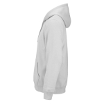 Sweat à capuche unisexe en coton biologique 300 g/m² couleur gris clair troisième vue
