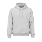 Sweat à capuche unisexe en coton biologique 300 g/m² couleur gris clair vue frontale