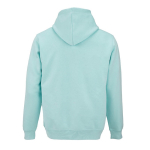 Sweat à capuche unisexe en coton biologique 300 g/m² couleur vert clair vue arrière