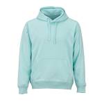 Sweat à capuche unisexe en coton biologique 300 g/m² couleur vert clair vue frontale