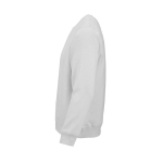 Sweat-shirt unisexe en coton bio, molleton brossé 300 g/m², Waikiki couleur gris clair troisième vue