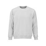 Sweat-shirt unisexe en coton bio, molleton brossé 300 g/m², Waikiki couleur gris clair vue frontale