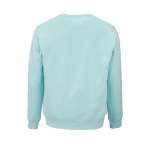 Sweat-shirt unisexe en coton bio, molleton brossé 300 g/m², Waikiki couleur vert clair vue arrière