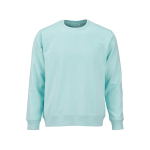 Sweat-shirt unisexe en coton bio, molleton brossé 300 g/m², Waikiki couleur vert clair vue frontale