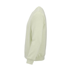 Sweat-shirt unisexe en coton bio, molleton brossé 300 g/m², Waikiki couleur vert pastel troisième vue