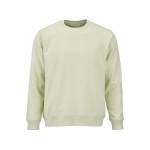 Sweat-shirt unisexe en coton bio, molleton brossé 300 g/m², Waikiki couleur vert pastel vue frontale