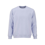 Sweat-shirt unisexe en coton bio, molleton brossé 300 g/m², Waikiki couleur bleu pastel vue frontale