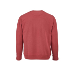 Sweat-shirt unisexe en coton bio avec molleton français 300 g/m² Capri couleur menthe forte vue arrière