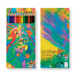 Set de coloriage recyclé certifié FSC® avec 12 crayons BIC® couleur multicolore