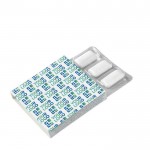 Chewing-gum à la menthe sans sucre en boîte de 6 unités couleur menthe vue principale