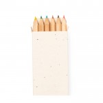 6 crayons de couleur dans une boîte avec graines de pétunia couleur naturel  troisième vue