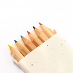 6 crayons de couleur dans une boîte avec graines de pétunia couleur naturel cinquième vue