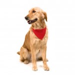 Collier bandana personnalisable avec logo couleur rouge sixième vue