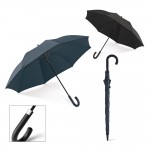 Parapluie en noir et bleu